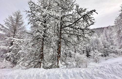 Casa-La Carotto Appartement pour 6 dans chalet - Foto 31