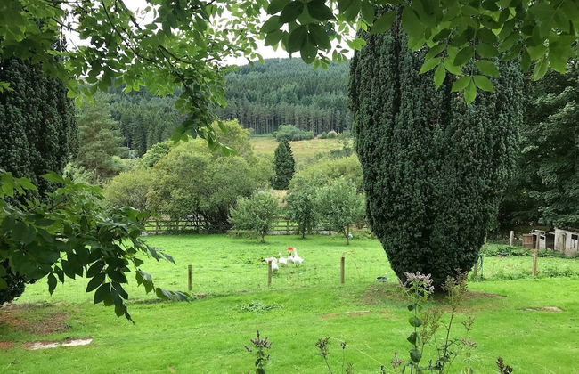 Byrness House - Photo 12