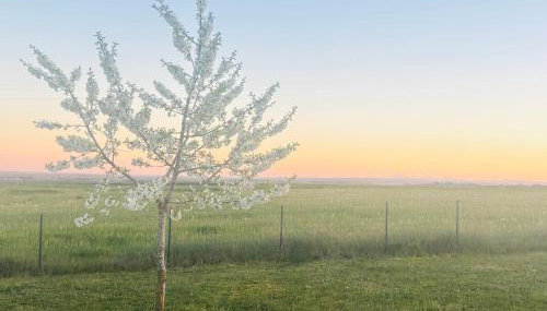 CHALET EN BOIS PRIVATIF ST POURCAIN SUR SIOULE - Foto 4