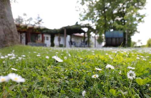 Winzerhof Düring - Foto 3