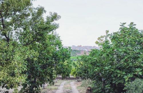 Dimora Virone Paradiso - Foto 57