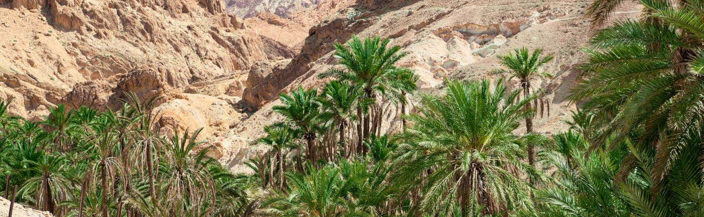 Excursión a Chebika, Tamerza y Midès