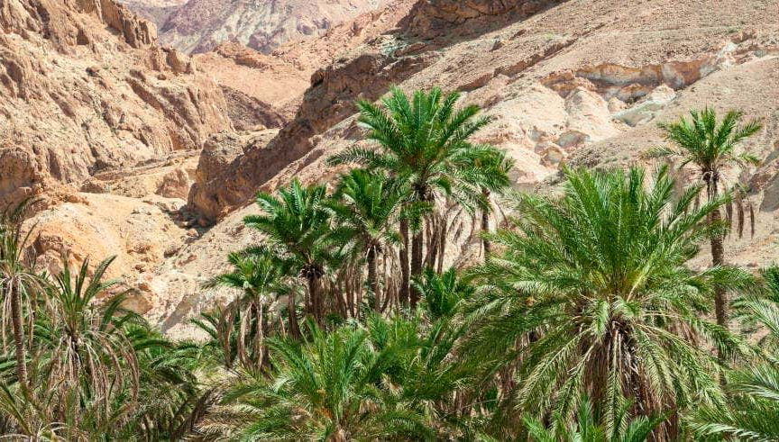 Excursão a Chebika, Tamerza e Midès