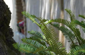 LIORIZA Country Houses - Foto 45