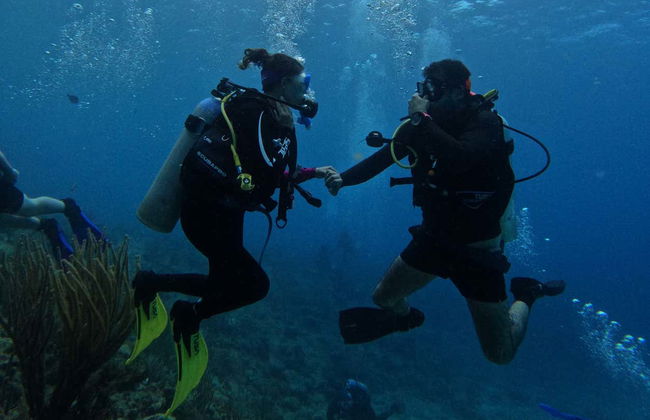 PADI Open Water Diving Course - Foto 6