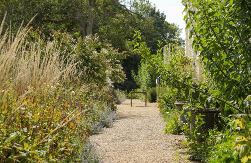 Château du Loroux - Photo 19