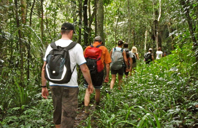 Sugarloaf Mountain Hiking Tour - Foto 2