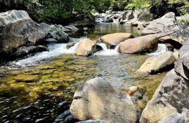 Peaceful Mtn Studio Pet-friendly - Foto 11