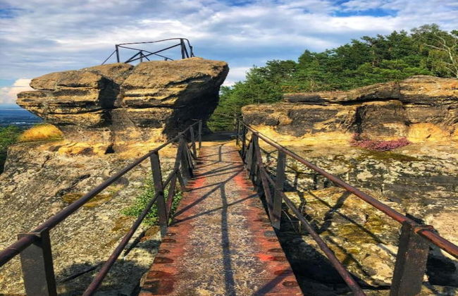 Peaceful Holiday Home in Holin With Garden - Photo 17