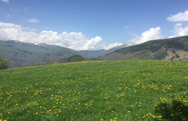 Castelvecchio Family Retreat - Photo 27