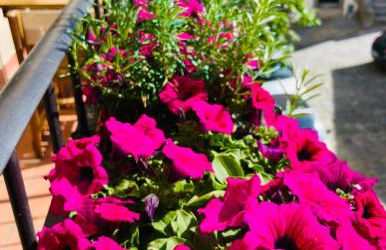 Balcone Fiorito, nel cuore del centro storico di Cortona - Foto 46