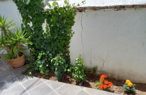 Casa con jardín, aparcamiento - Photo 31