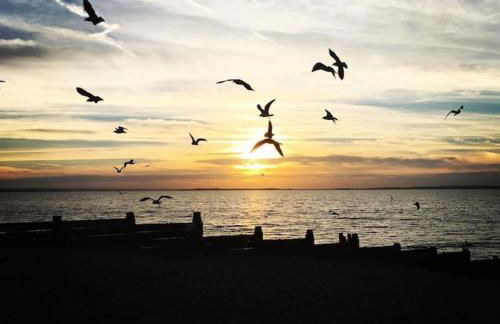 Brand New, Stunning Beachside House - Foto 26