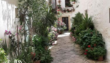 Casa Montanaro - Foto 4