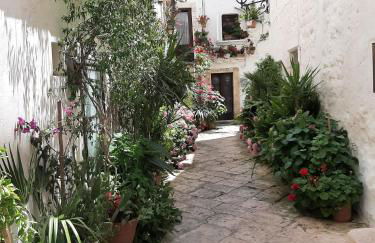 Casa Montanaro - Foto 4