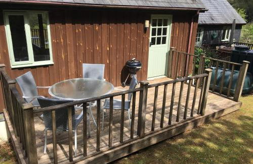 Oakridge St Mellion free golf, spa, pool & gym at nearby St Mellion club - Photo 34