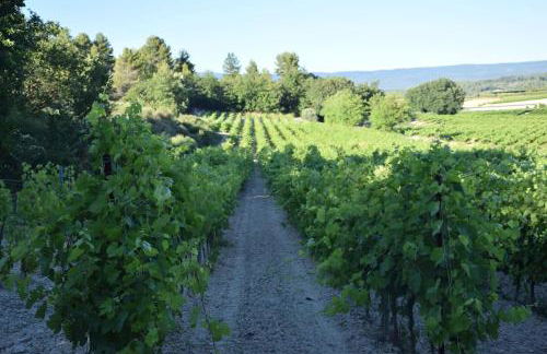 Moulin des Gypses Gîte l'Oliveraie, Ventoux - Foto 30