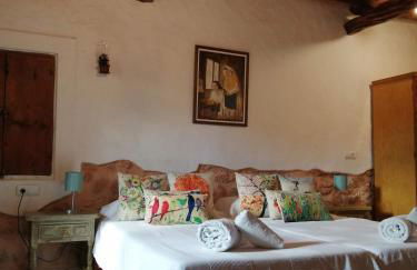 Can Pep Pardal - Foto 22