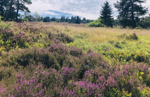 Fachwerkliebe Ornes 1 - Foto 32