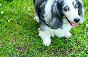 HiPyrenees - Top studio - Foto 20