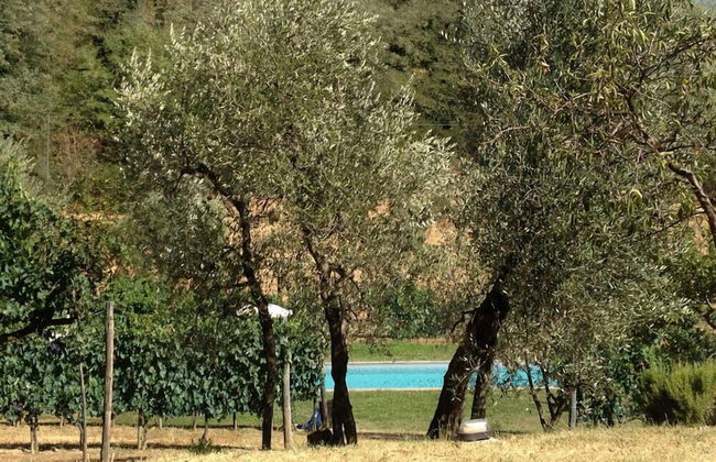 Podere il Poggiolo - Photo 69