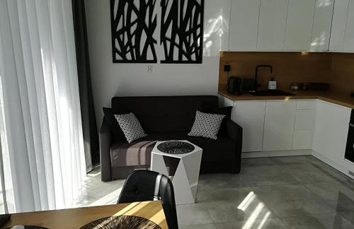 Apartament Wrocław Centrum Dorzecze Legnickiej - Photo 7