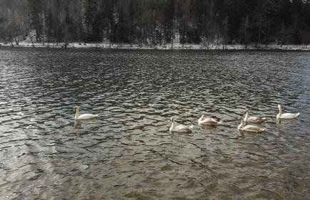 Apartman Nada - Foto 37