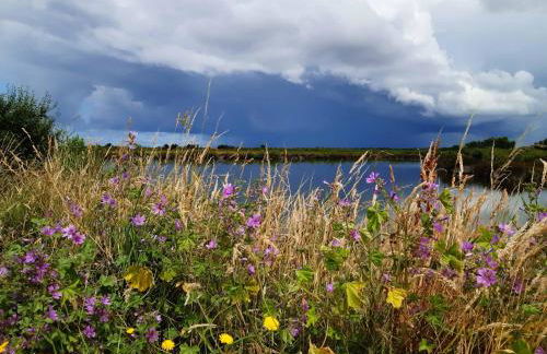Gîte les 2 pins - Audenge - Foto 20
