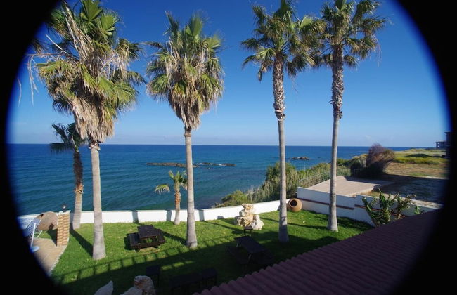 Sun Camero Apartments - Photo 12