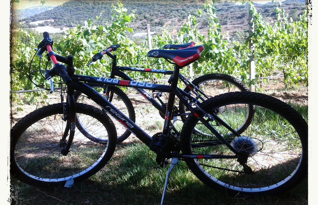 Agriturismo B&B Domo De Resteblas - Foto 24