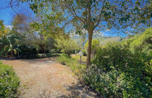 DX Appartamento Fiori d arancio - Foto 37