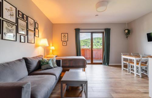 Apartamenty Black Lion - Foto 31