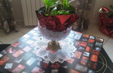 Nido delle meraviglie - Foto 22