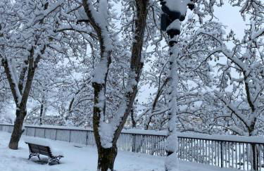 Appartamento immerso nel verde - Foto 7