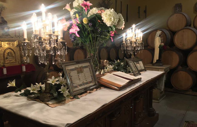 Visite du domaine viticole de Jilabá avec dégustation de vin - Photo 11