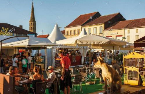 Maison Dream in Marciac - Photo 70