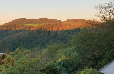 Manderscheid Ferienwohnung mit Weitblick - Foto 1