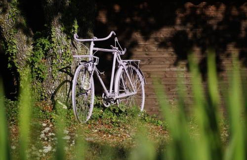 Les Néfliers Gîte - Foto 19