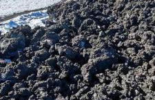 Casa in affitto - Foto 10