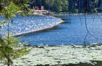 Apartment Landhaus Wildfeuer by Interhome - Foto 27