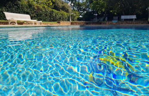 Domaine Tombarel - Foto 5