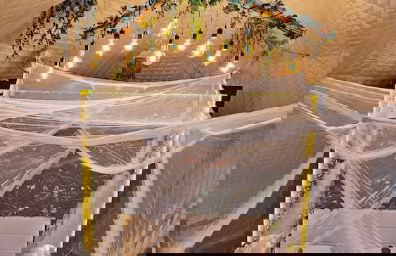 Domaine de la Tuilière - Photo 23