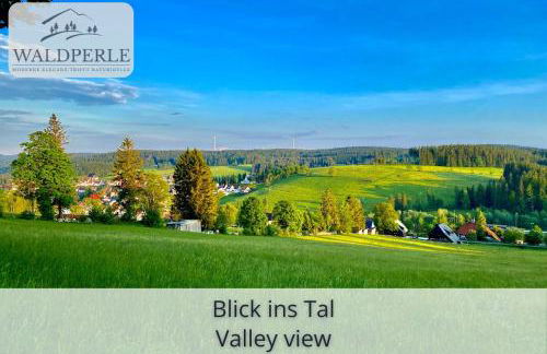 Exklusives 5-Sterne Apartment Waldperle mit Indoor-Pool, Sauna, top Lage und Ausblick in die Natur, Hunde willkommen - Foto 16