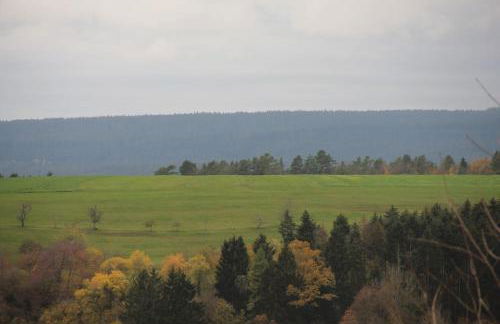Schwarzwald-Oase für bis zu 10 Personen - Foto 14