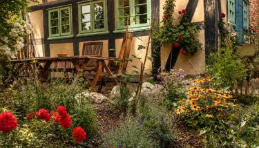 Idyllisches Ferienhaus Nähe Dümmer See Auszeit Sauna Natur - Photo 5