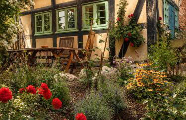 Idyllisches Ferienhaus Nähe Dümmer See Auszeit Sauna Natur - Foto 5