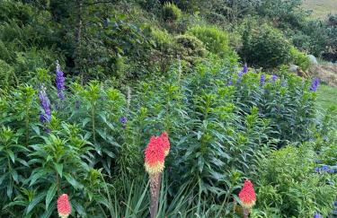 The Green Hayloft, Lakes & Dales - Photo 40