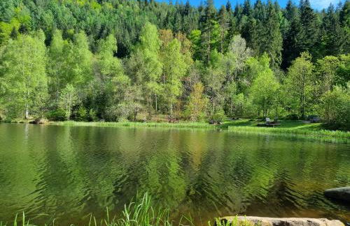 Bergforelle - Bilderbuchausblicke, Sauna und Genussmomente in einer ehemaligen Kapelle - Foto 26
