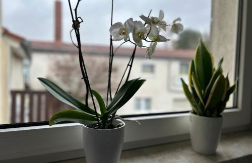 Pension Hotel Leinefelde am Bahnhof - Photo 16