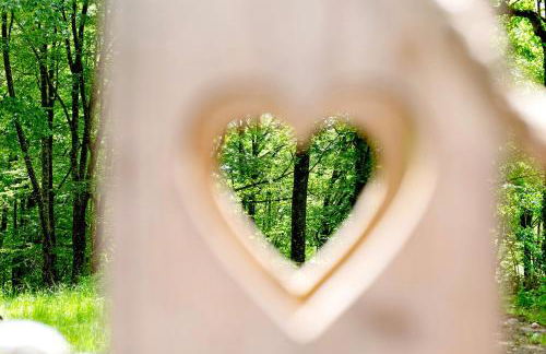 Tinyhaus 1 - Foto 14